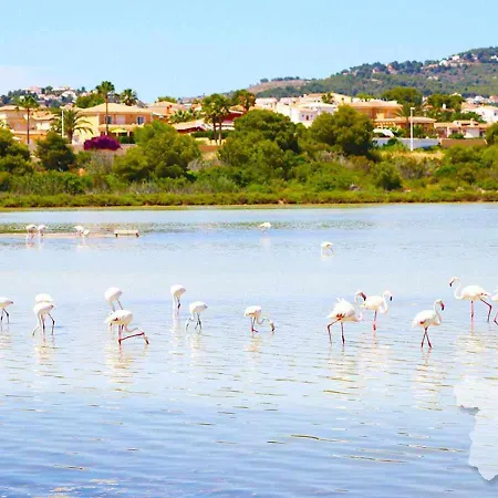 Costablancadreams Casa Azul In Βίλα Κάλπε
